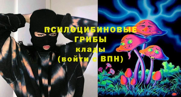 PSILOCYBIN Пролетарск