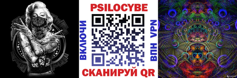 мориарти как зайти  Тайшет  Псилоцибиновые грибы Cubensis 